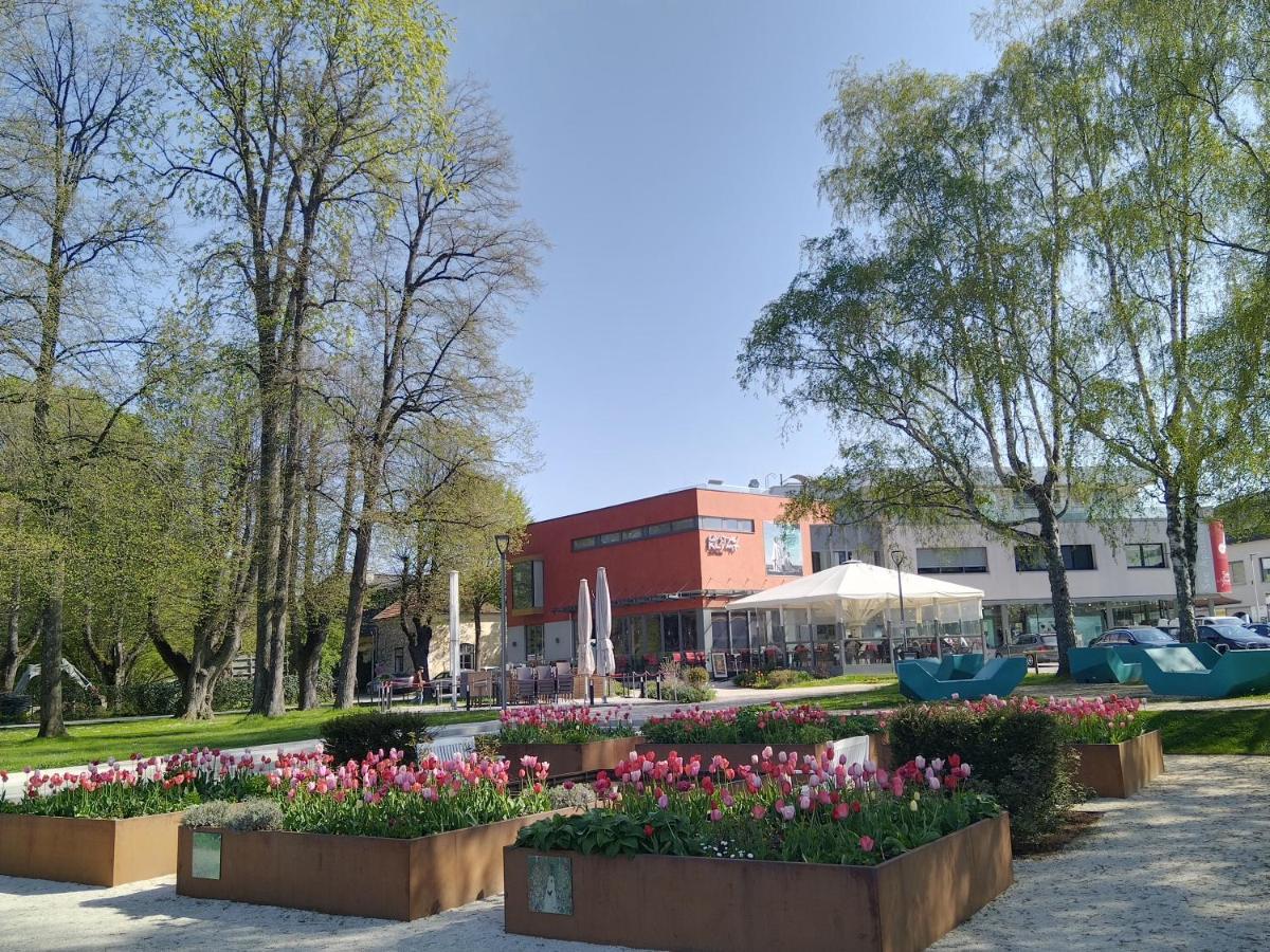 Apartment 3 Gaeste Schörfling Екстериор снимка